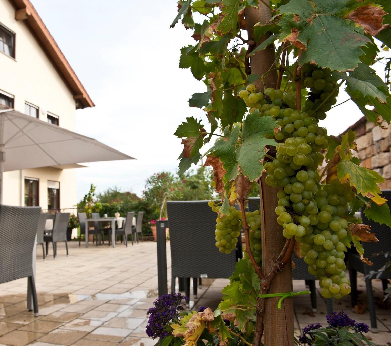 Weingut Sandwiese Winzerhotel Worms Buitenkant foto